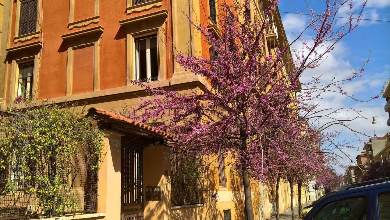 روما B&B Musei Vaticani المظهر الخارجي الصورة